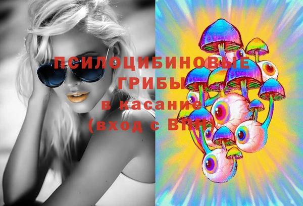 молекула духа Алексин