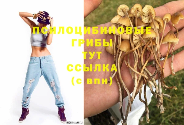 молекула духа Алексин