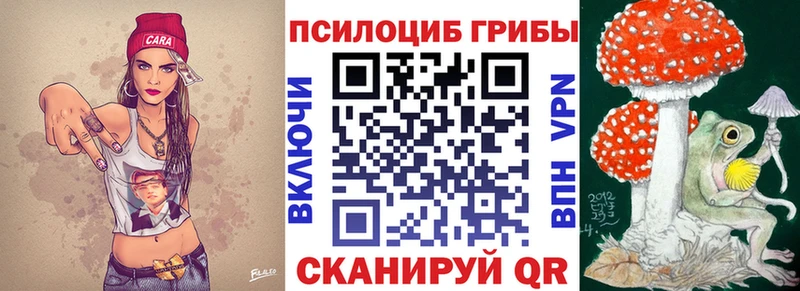 omg онион  Зарайск  Псилоцибиновые грибы Magic Shrooms 